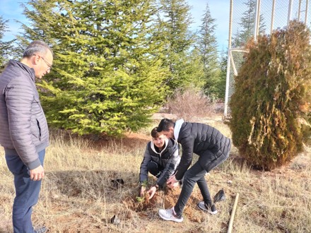 Her Çalışan Bir Fidan
